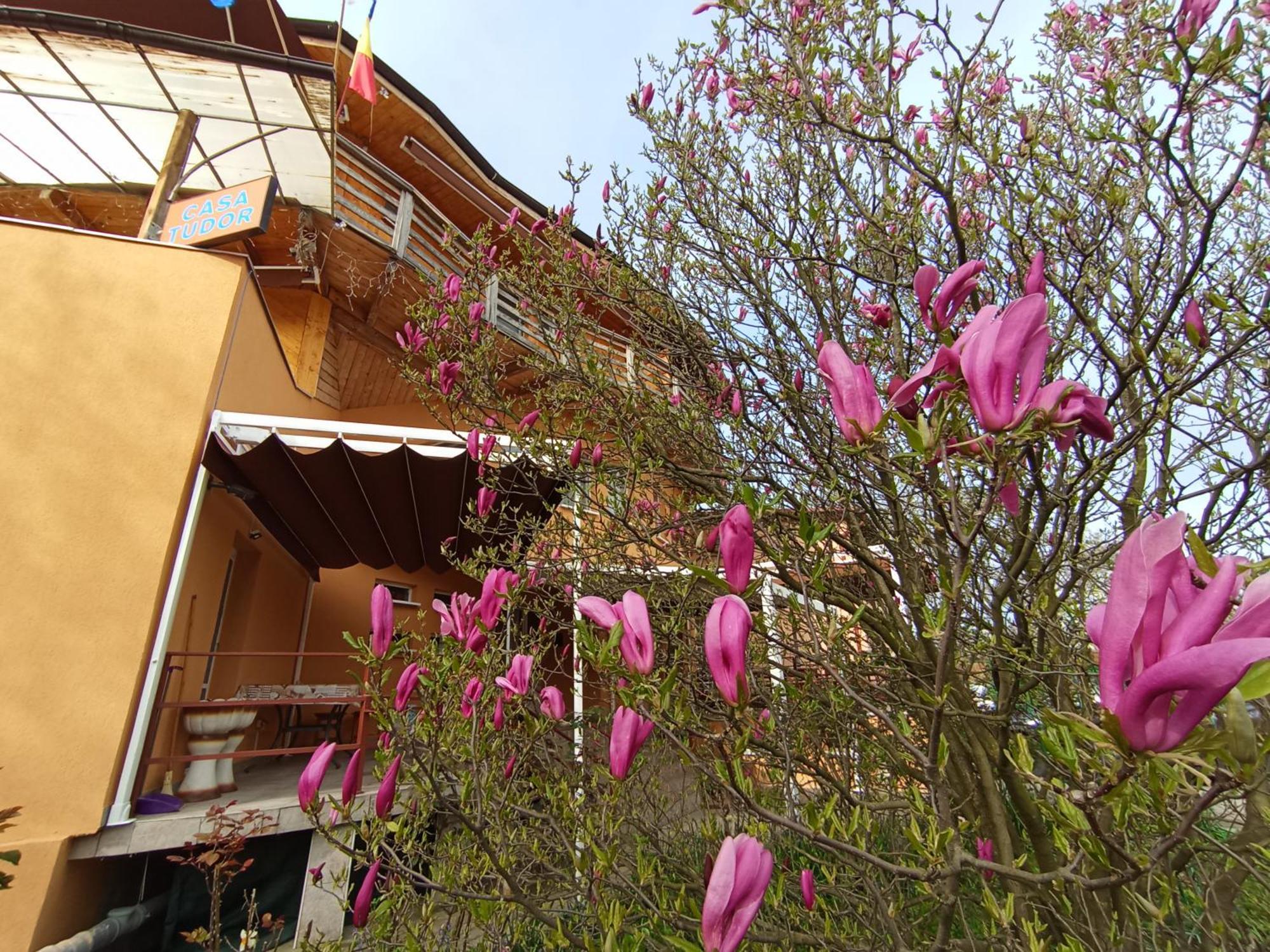 Casa Tudor Турда Екстер'єр фото