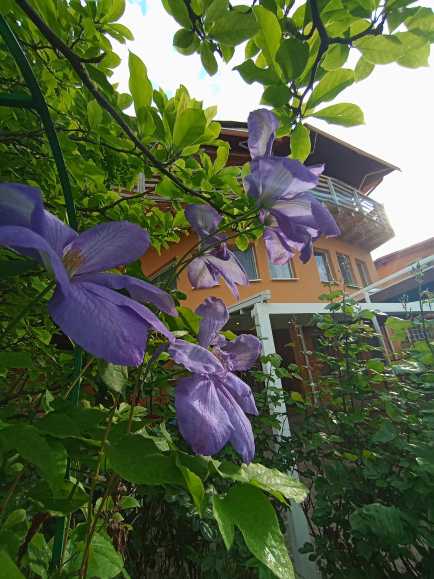 Casa Tudor Турда Екстер'єр фото